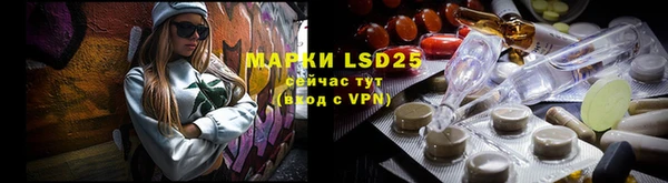 PSILOCYBIN Балахна