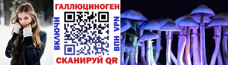 Галлюциногенные грибы Psilocybine cubensis купить наркотик Макаров